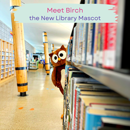 Meet Birch our New Owl Library Mascot