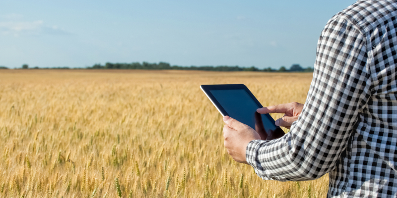 Farmer in grain field with tablet
