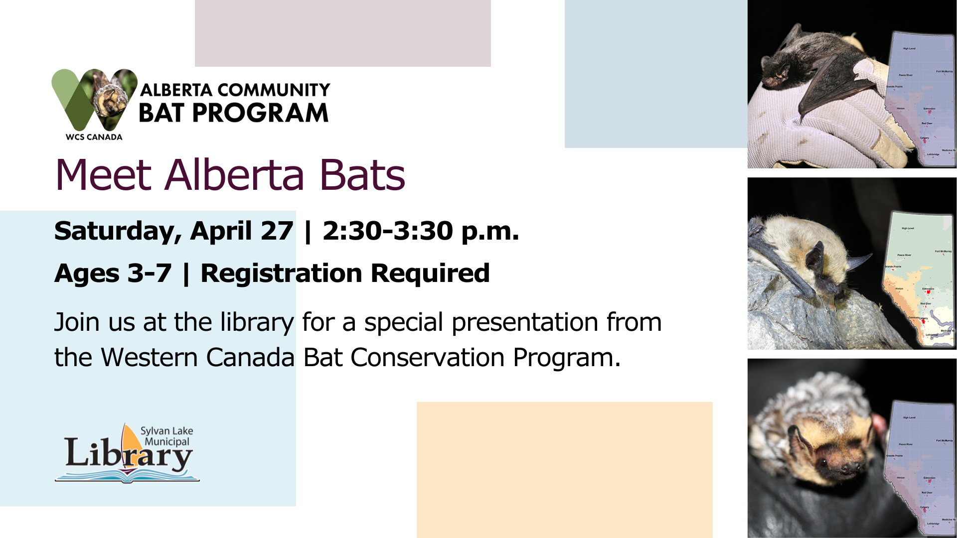 Meet Alberta Bats website banner